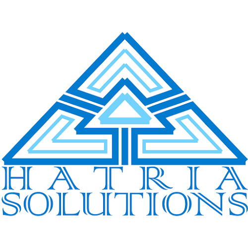 Opinii despre Hatria Solutions în <nil> - Traducător