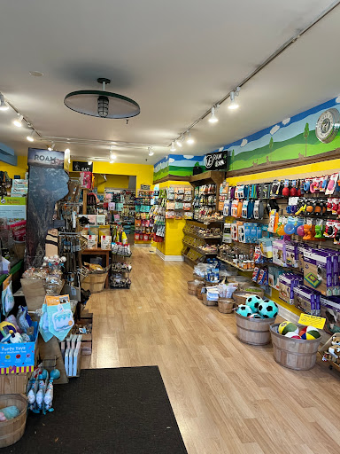 Pet Supply Store «Petagogy», reviews and photos, 5880 Ellsworth Ave, Pittsburgh, PA 15232, USA