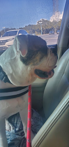 Honda Dealer «AutoNation Honda Clearwater», reviews and photos, 17275 US Hwy 19 N, Clearwater, FL 33764, USA