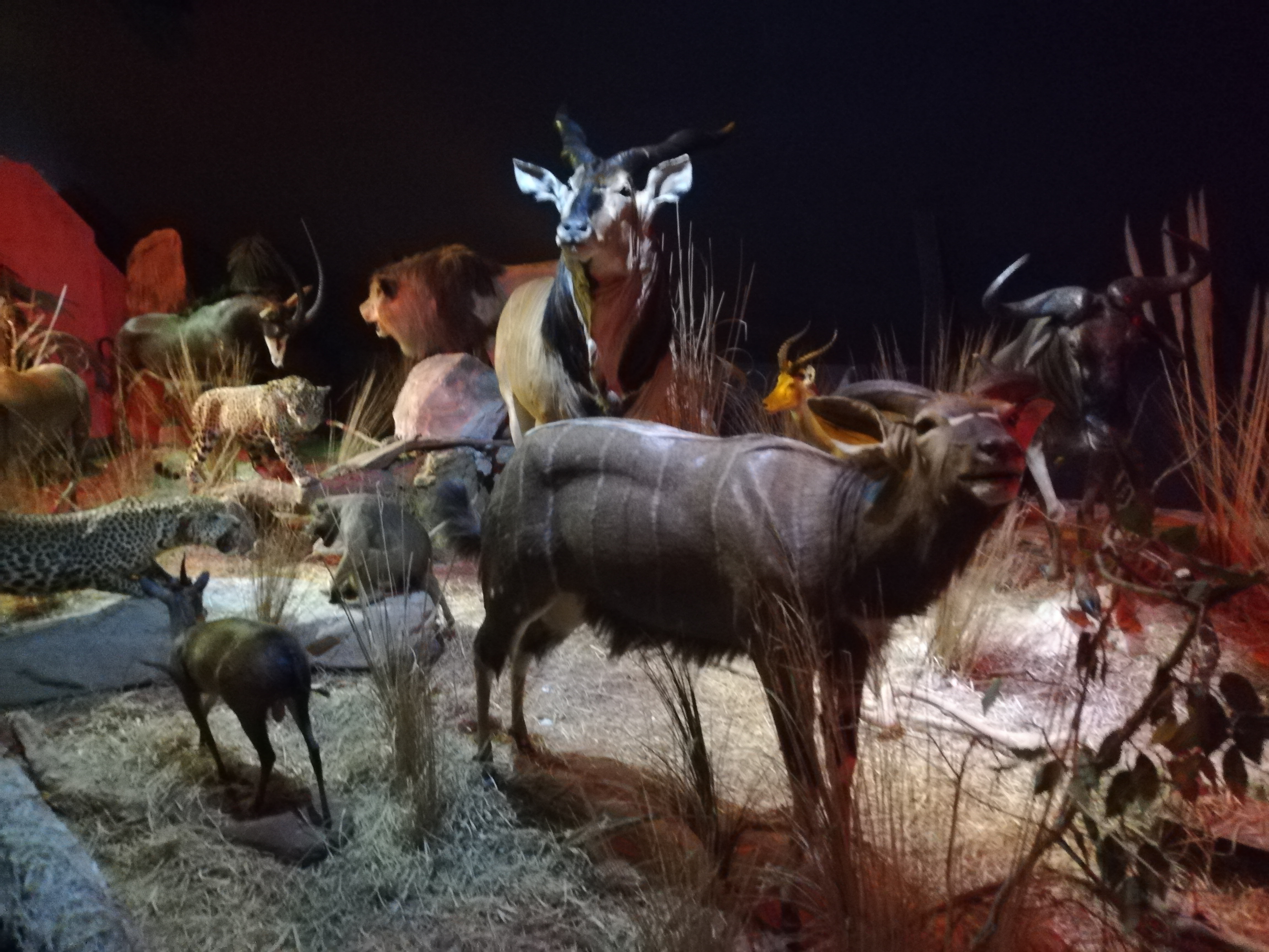 Photo n° 29 de l'avis de Soleil. fait le 20/08/2020 à 12:36