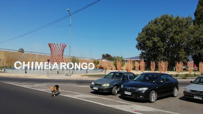 Opiniones de Monumento al mimbre-Chimbarongo en Chimbarongo - Museo