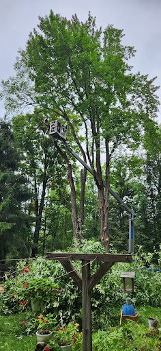 Elkin Tree Service Inc.