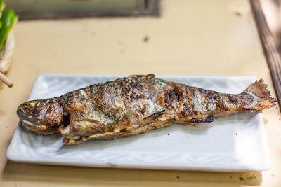 遊魚園