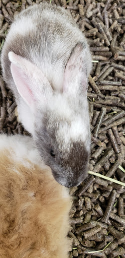 Pet Supply Store «Pet Food Center», reviews and photos, 4036 N First Ave, Evansville, IN 47710, USA