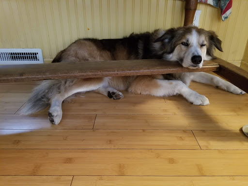 Pet Supply Store «PetSmart», reviews and photos, 889 NE 25th Ave, Hillsboro, OR 97124, USA