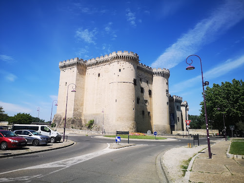 Château de Tarascon à Tarascon