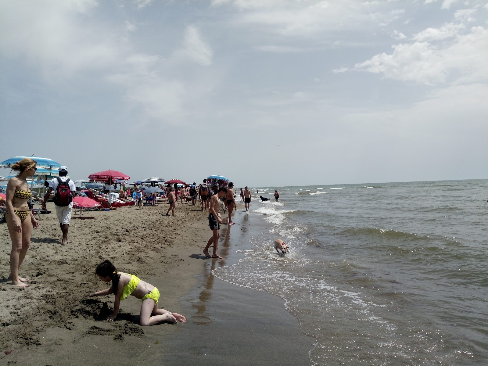 Bocca di Leone beach的照片 位于自然区域