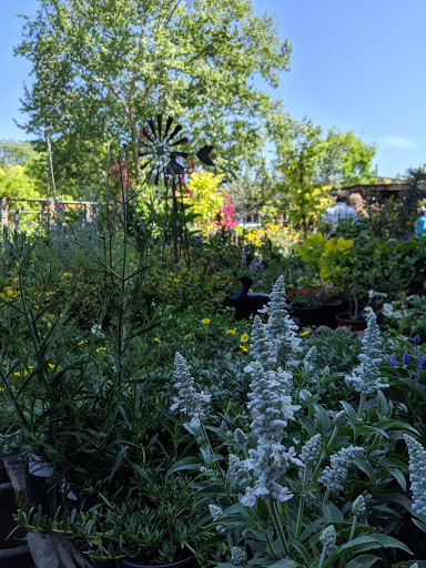 Garden Center «Ladera Garden & Gifts», reviews and photos, 3130 Alpine Rd #380, Portola Valley, CA 94028, USA