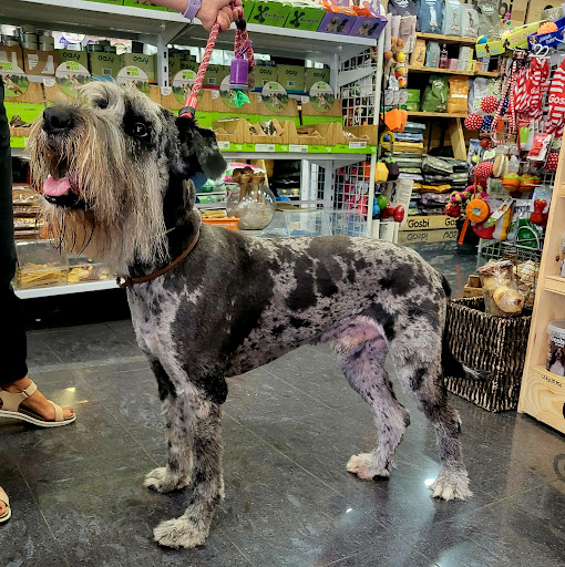 Maido Animals SL en La Seu d'Urgell, Lleida