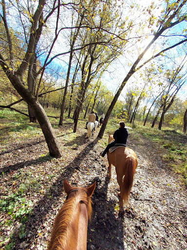 Stable «Cedar Valley Stables Inc», reviews and photos, 1492 Harding Ave, Tipton, IA 52772, USA