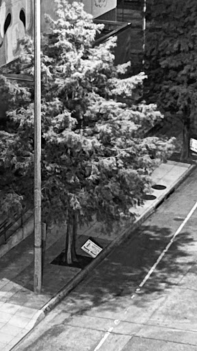 Thrift Store «Goodwill», reviews and photos, 3121 College Dr # B, Baton Rouge, LA 70808, USA