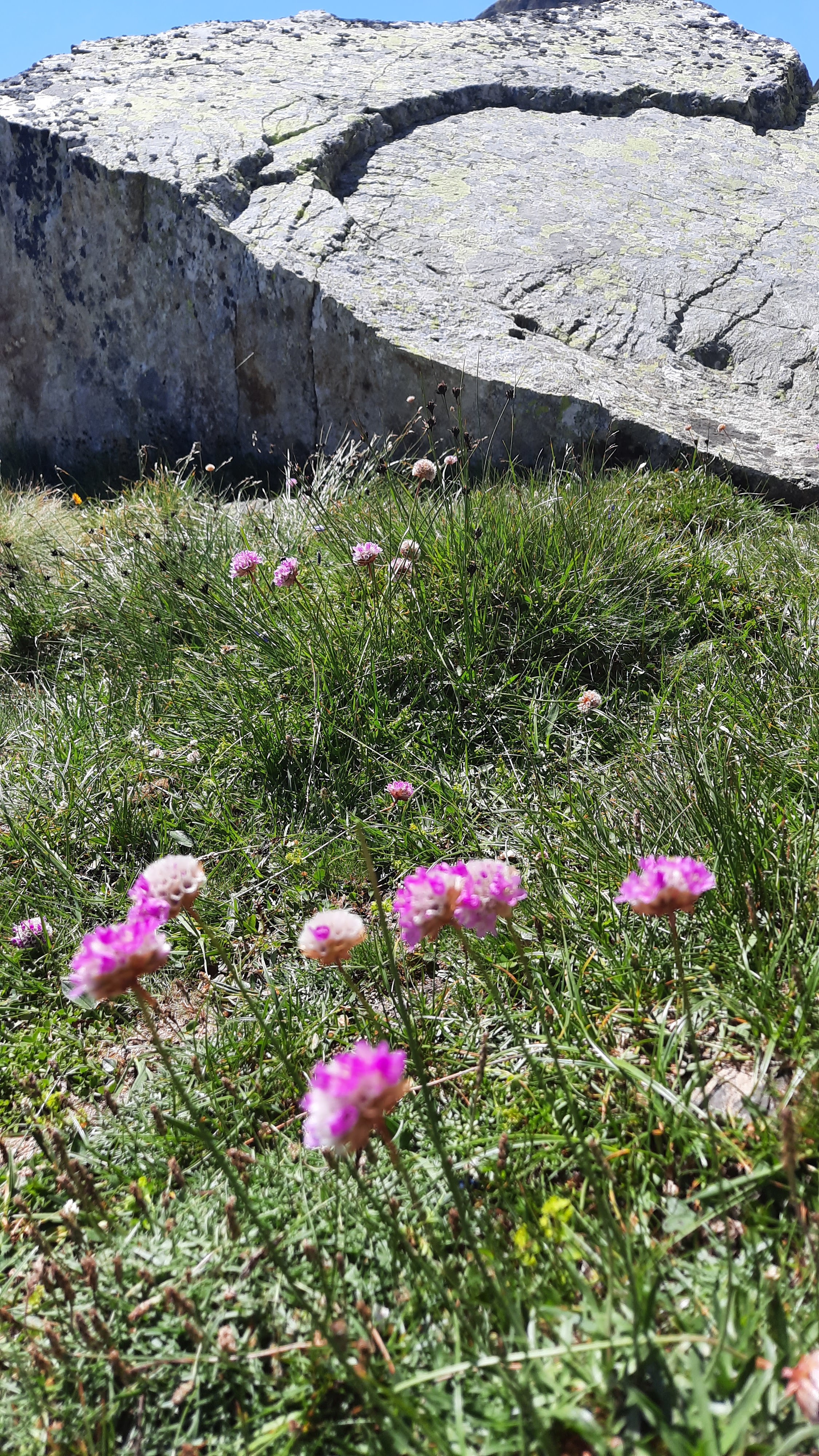Photo n° 7 de l'avis de Prénom.o fait le 26/07/2022 à 18:58