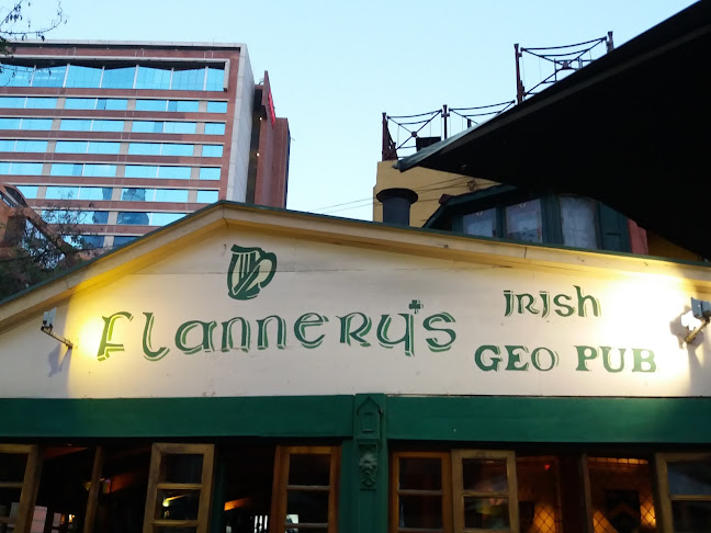 Irish Geo Pub - Pub