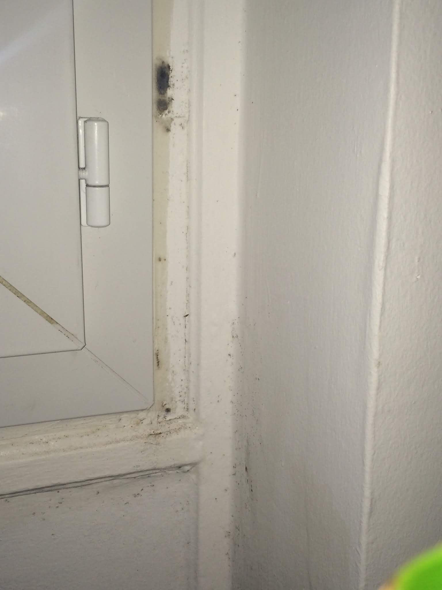 Photo n° 3 de l'avis de Pierre.o fait le 05/11/2018 à 00:03