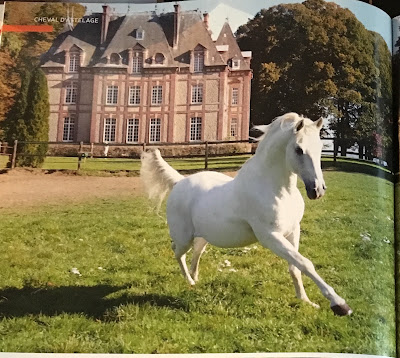 Lipizzan Haras de l'Etalon Blanc à Ménerval