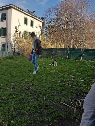 Cane Sapiens Addestramento Educazione Cani Firenze
