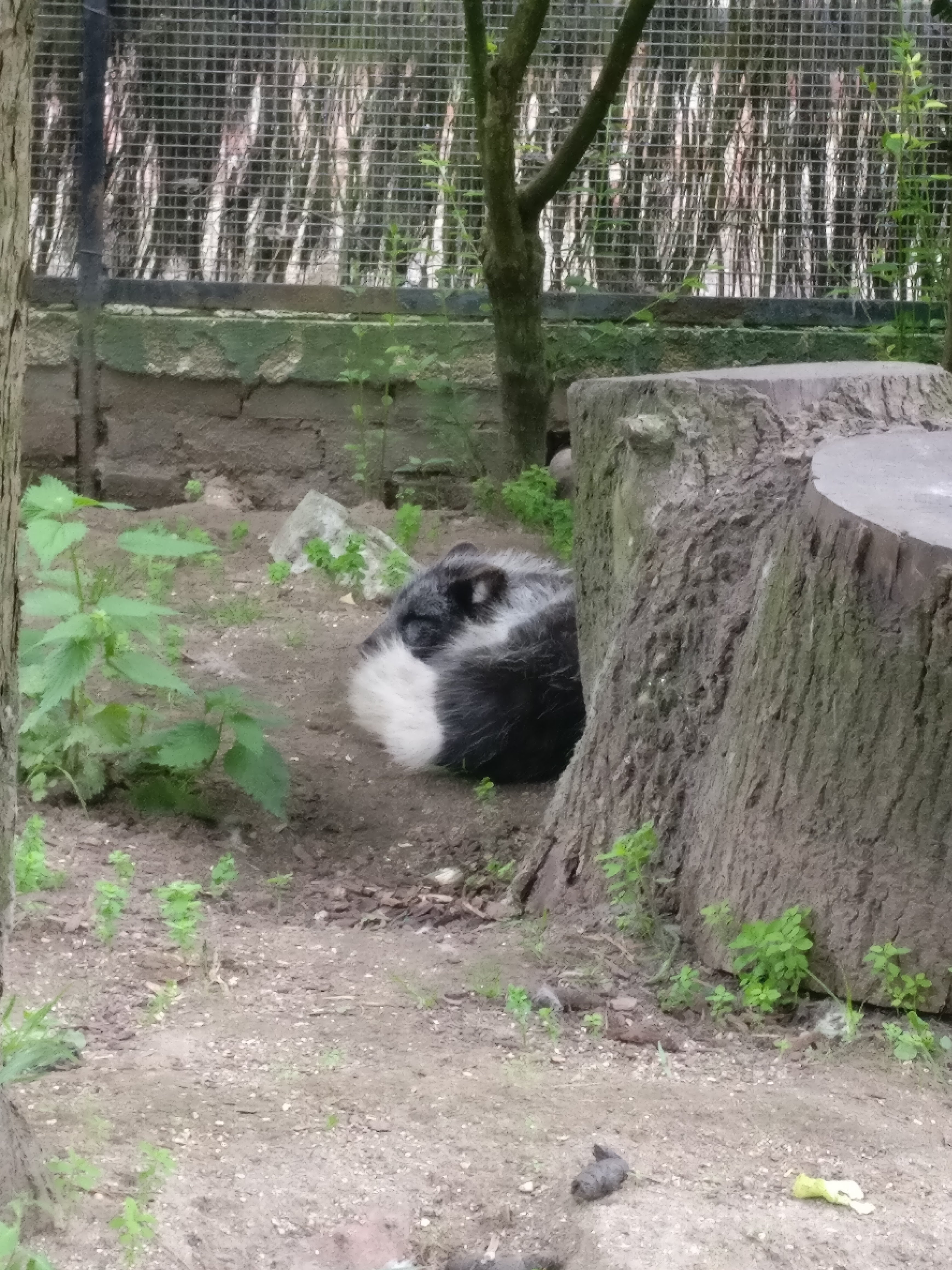 Photo n° 5 de l'avis de Alexia.o fait le 13/08/2018 à 09:32