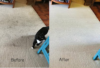 Advanced Dry Carpet Care