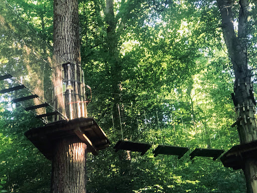 Nature Preserve «Jefferson Memorial Forest», reviews and photos, 11311 Mitchell Hill Rd, Fairdale, KY 40118, USA