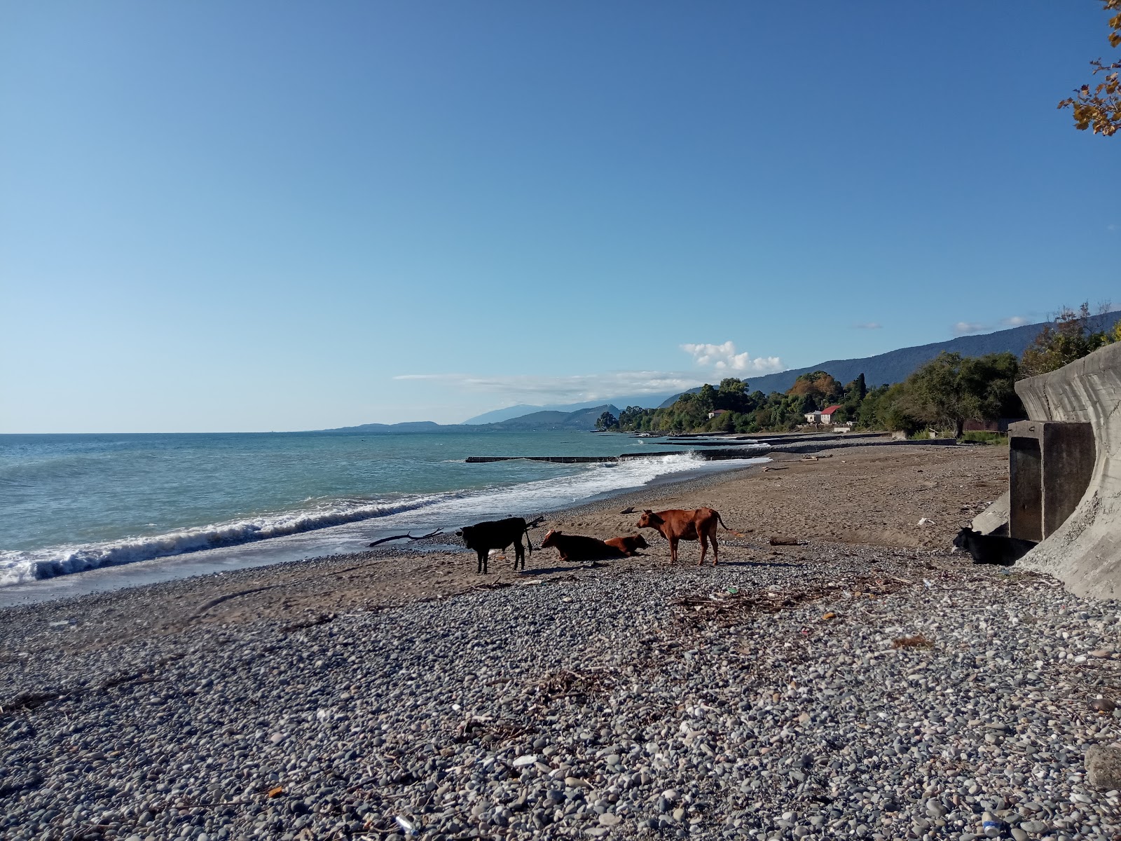 Foto von Kutishna beach - beliebter Ort unter Entspannungskennern