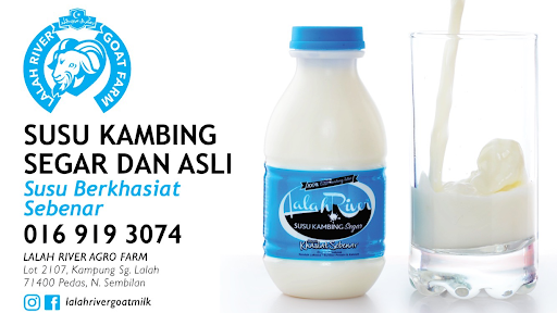 Susu Kambing Segar Lalah River Goat Milk