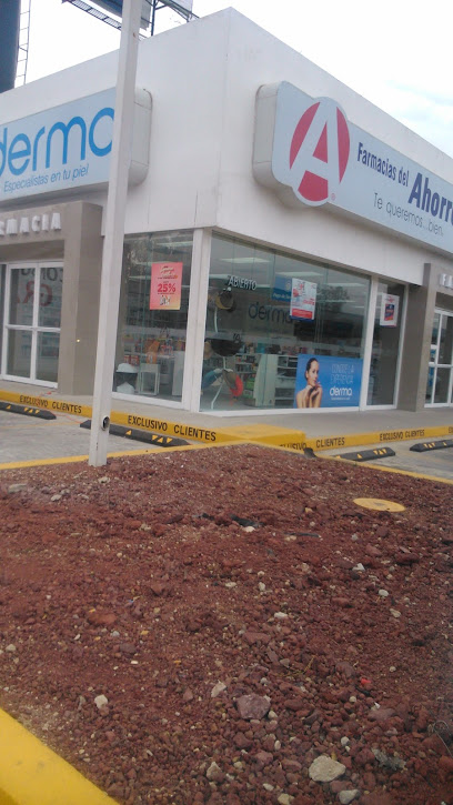 Farmacia Del Ahorro Av. Adolfo López Mateos Sur 1200, Lomas De San Agustin, 45640 Lomas De San Agustín, Jal. Mexico