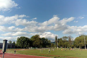 Institut für Sport und Sportwissenschaft Heidelberg