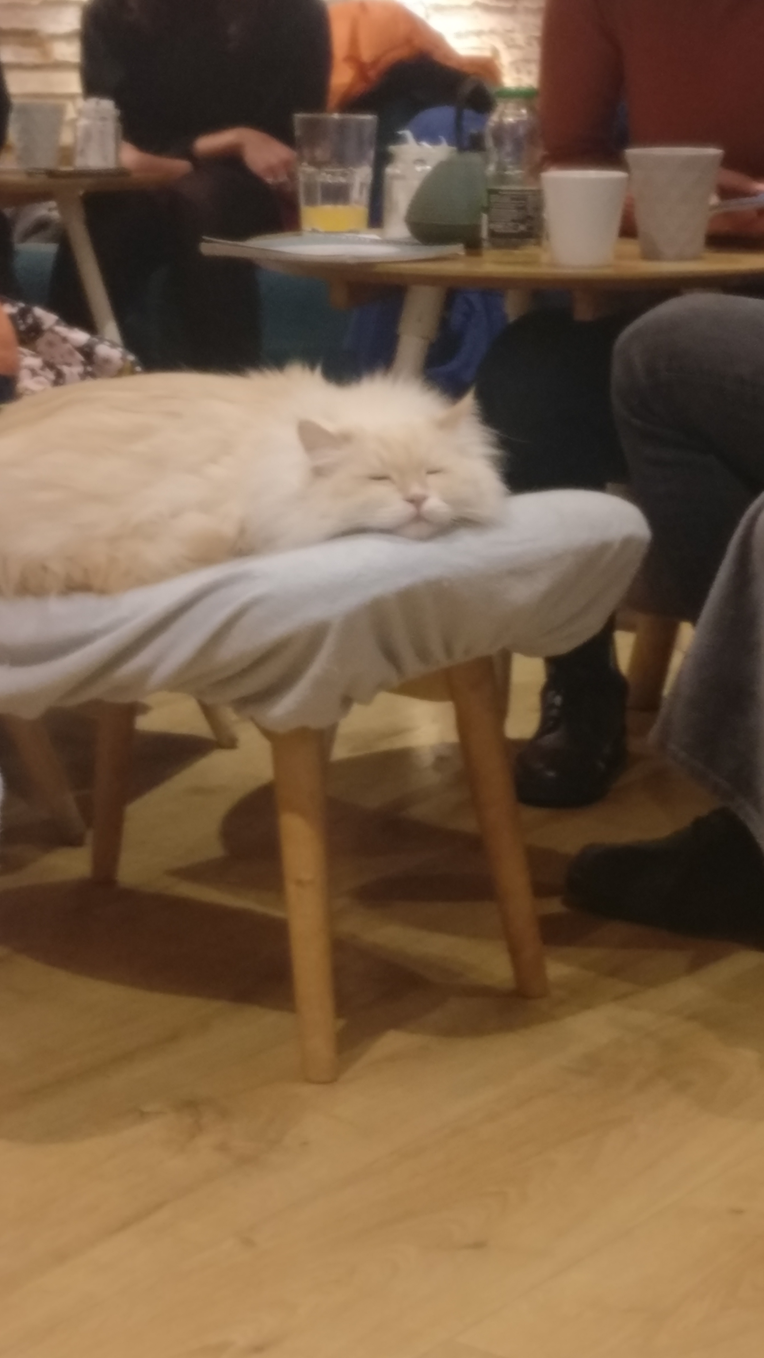 Photo n° 2 de l'avis de Rémy.e fait le 21/03/2022 à 02:23