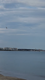 Photo n°59 de Restaurant La Cotriade Les Sables d'Olonne à Les Sables-d'Olonne ()