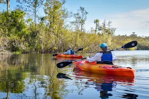 Everglades Adventures Kayak & Eco Tours image