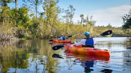 Everglades Adventures Kayak & Eco Tours