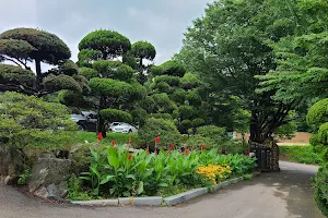 Yongdo Arboretum image