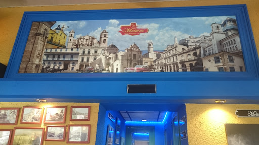 Places to buy a golden retriever in Havana