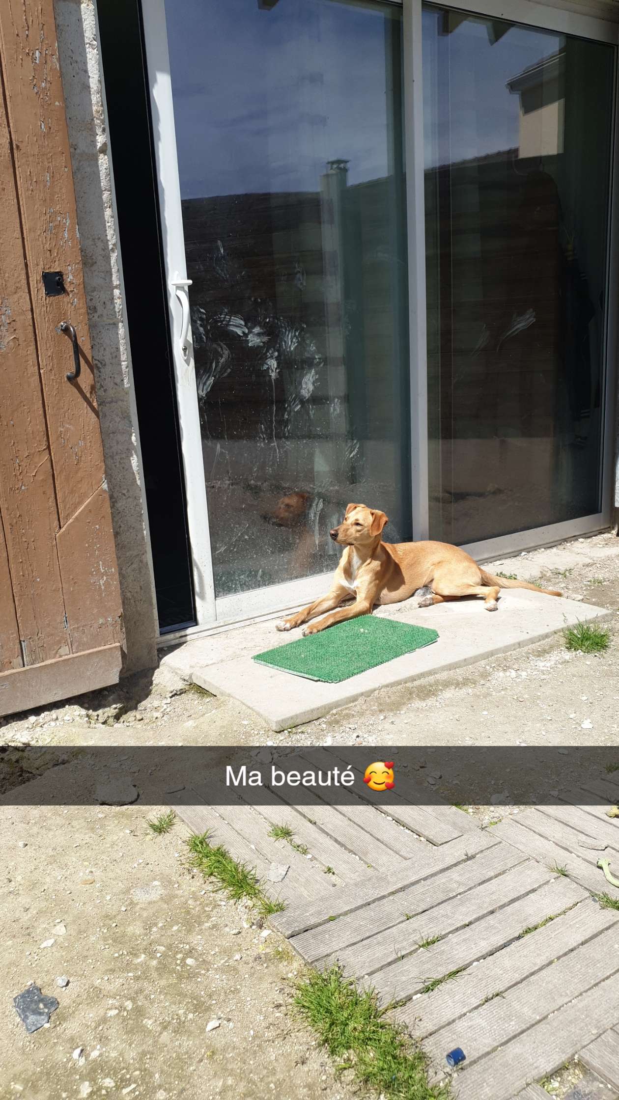 Photo n° 1 de l'avis de Cindy.o fait le 30/05/2021 à 19:27