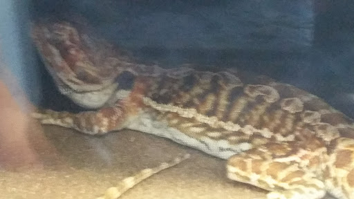 Pet Supply Store «Petco Animal Supplies», reviews and photos, 7215 170th Ave NE #115, Redmond, WA 98052, USA