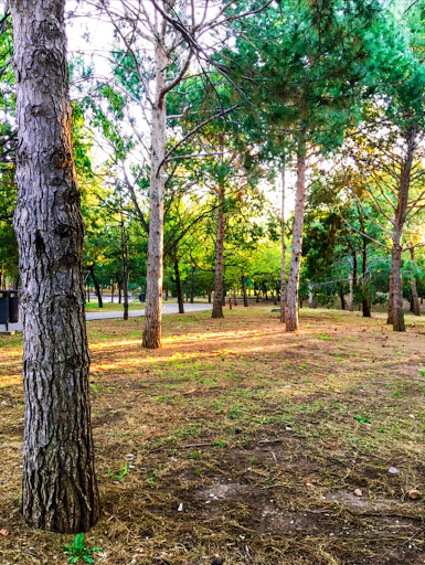 Bosque Urbano Ejército Mexicano 2da. Sección