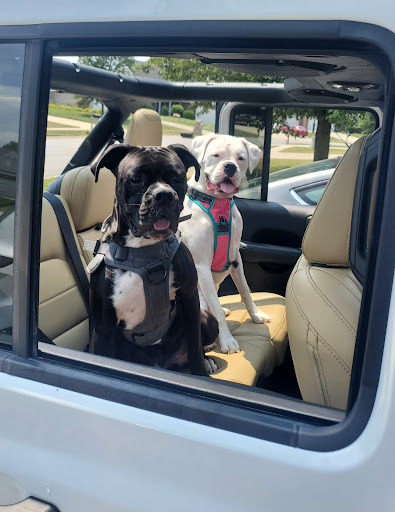 Car Dealer «Pinckney Chrysler Dodge Jeep RAM», reviews and photos, 1295 E M 36, Pinckney, MI 48169, USA