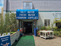 Extreme Marine - Photo 6 - Car repair in Ventura, CA, Oxnard