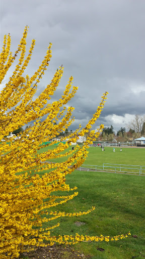 Park «Al Borlin Park», reviews and photos, 615 Simons Rd, Monroe, WA 98272, USA