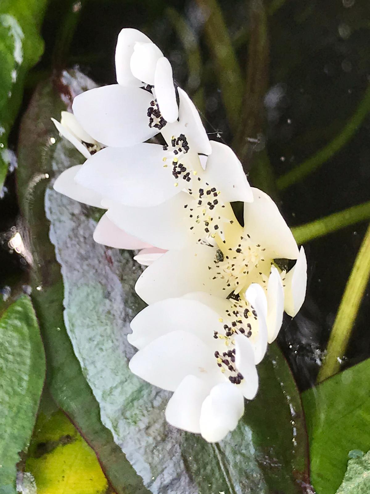 Photo n° 2 de l'avis de Myriam.e fait le 23/05/2021 à 16:06