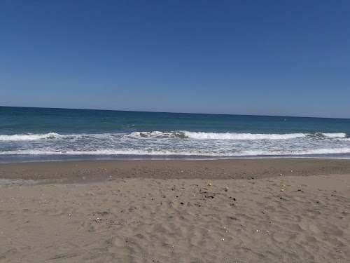 Altinkum beach photo #1