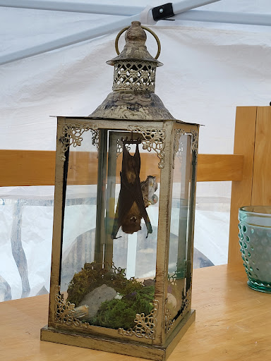 Event Venue «Yellow Cab Tavern», reviews and photos, 700 E 4th St, Dayton, OH 45402, USA