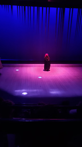 Performing Arts Theater «Cutler Majestic Theatre», reviews and photos, 219 Tremont St, Boston, MA 02116, USA