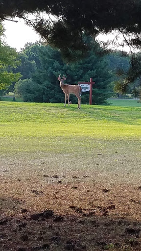 Public Golf Course «Lost Nation Golf Club», reviews and photos, 6931 S Lost Nation Rd, Dixon, IL 61021, USA