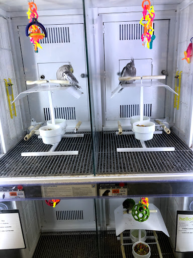 Pet Supply Store «Petco Animal Supplies», reviews and photos, 1255 Raritan Rd #140, Clark, NJ 07066, USA