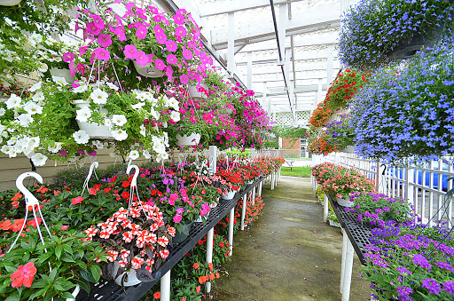 Florist «Flowerama Florist: Whitehall», reviews and photos, 4785 E Broad St, Whitehall, OH 43213, USA