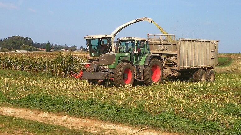 Agro Maroñas