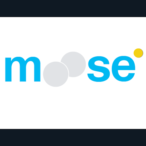 Moose Web Design - Leuven