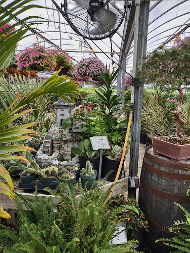 Plant Nursery «Blooming Acres», reviews and photos, 7561 State Rd, Wadsworth, OH 44281, USA