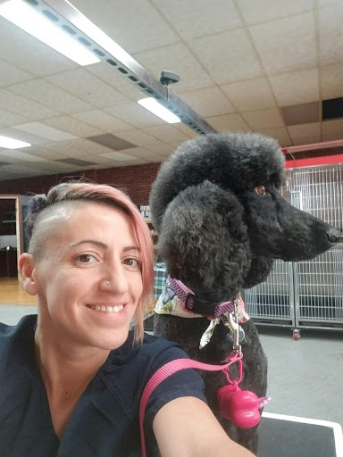 Pet Groomer «Premier Loving Care», reviews and photos, 48 E Washington St, Shelbyville, IN 46176, USA